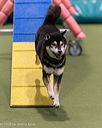 20260104-acnh-0332
