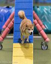 20260104-acnh-0335