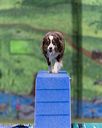 20260104-acnh-0344