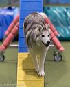 20260104-acnh-0414