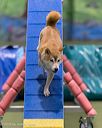 20260104-acnh-0421