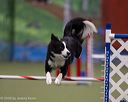 20260104-acnh-0582