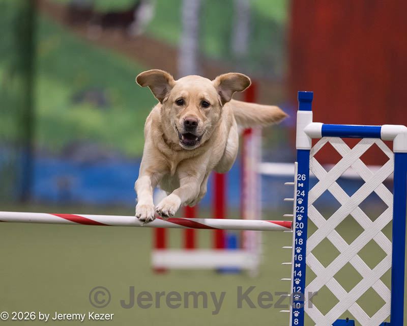 20260104-acnh-0588.jpg