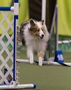 20260104-acnh-0532