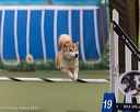 20260104-acnh-0538