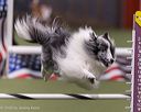 20260104-acnh-0545
