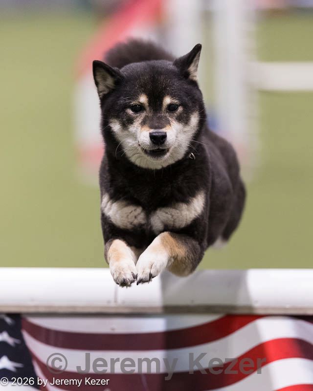 20260221-0039.jpg