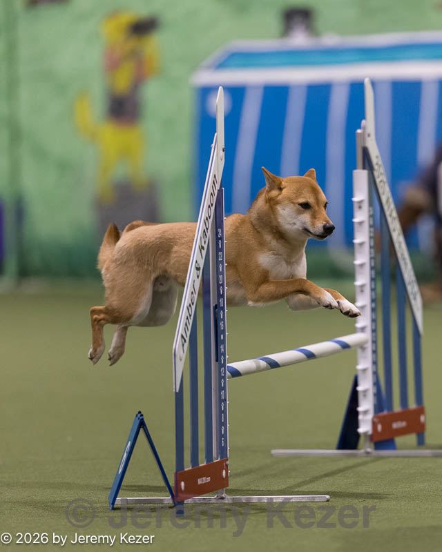 20260221-0053.jpg