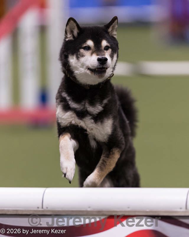 20260221-0056.jpg