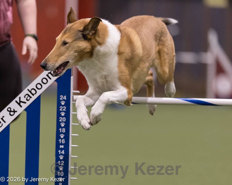 20260221-1028.jpg