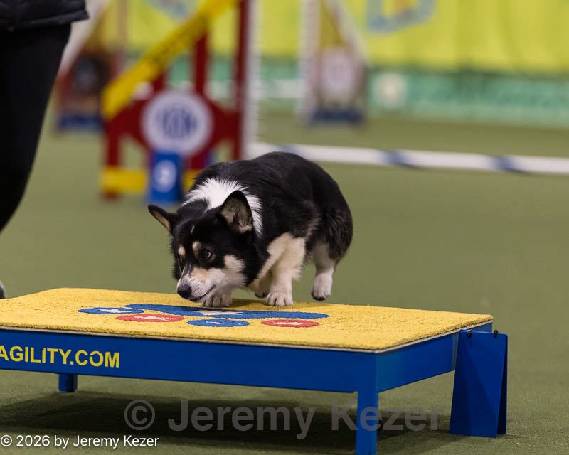 20260221-1046.jpg