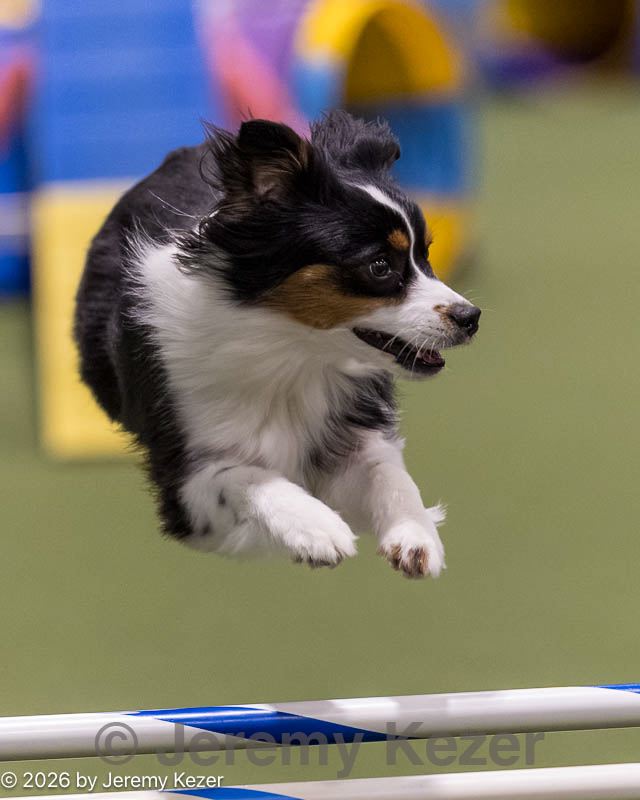 20260221-1071.jpg