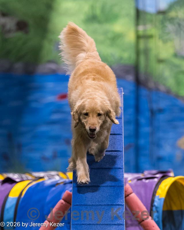 20260221-1078.jpg