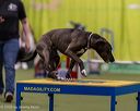 20260221-1097