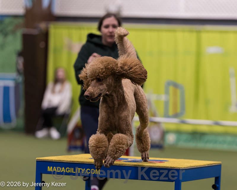 20260221-1111.jpg