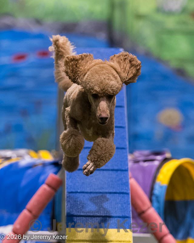 20260221-1118.jpg