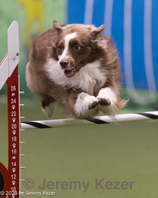 20260221-2436.jpg