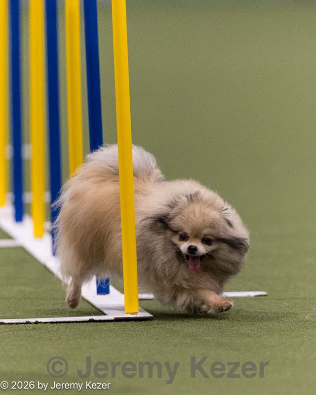 20260222-0516.jpg
