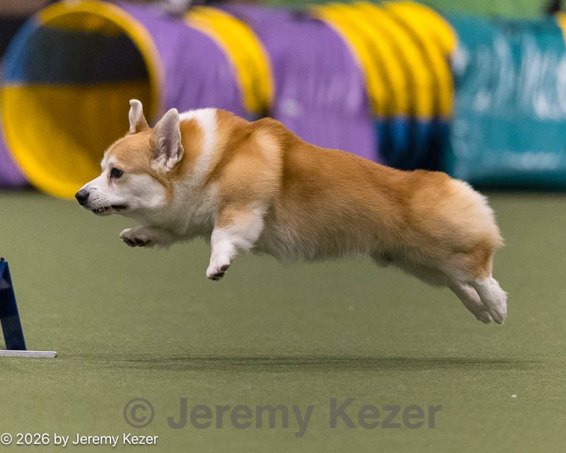 20260222-0530.jpg