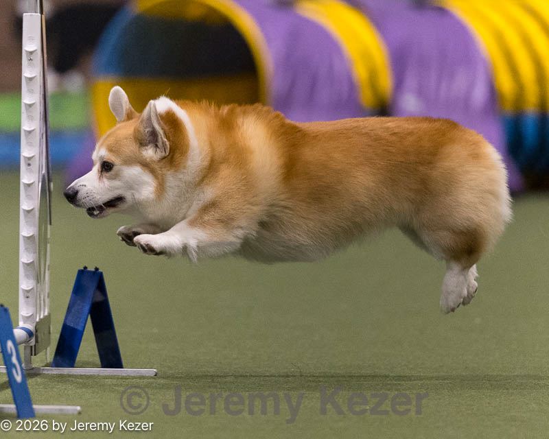 20260222-0531.jpg
