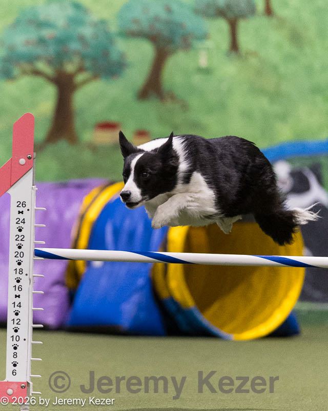 20260222-0329.jpg