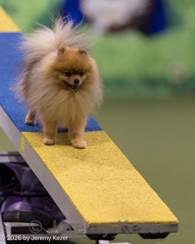 20260222-0256.jpg