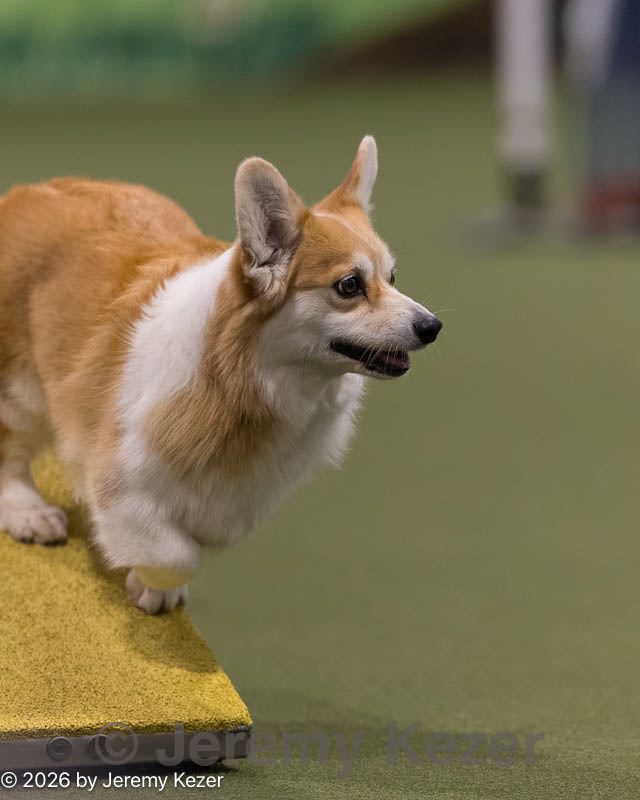 20260222-0264.jpg