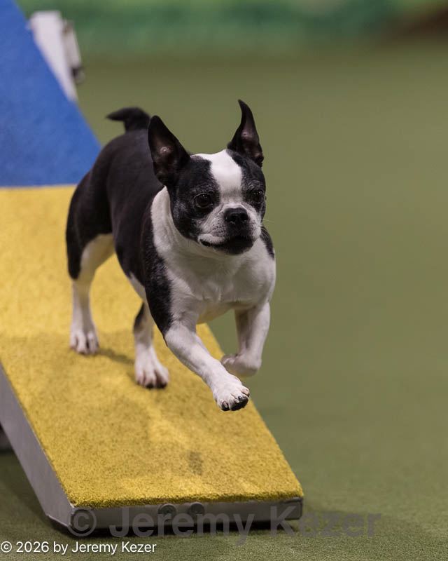 20260222-0281.jpg