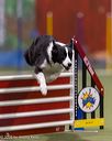 20260222-0022