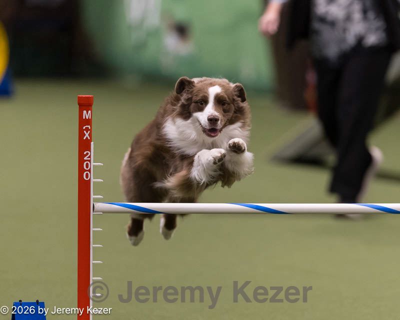 20260222-0001.jpg