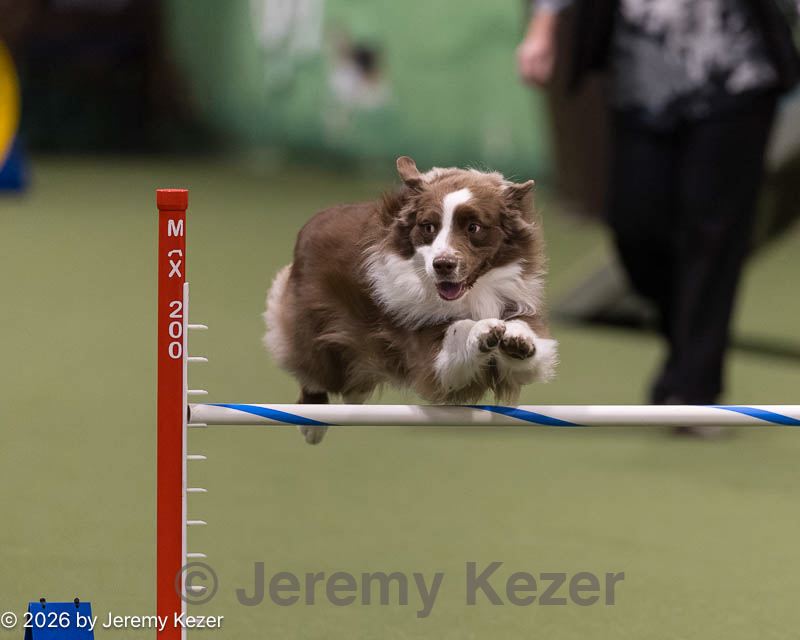 20260222-0002.jpg