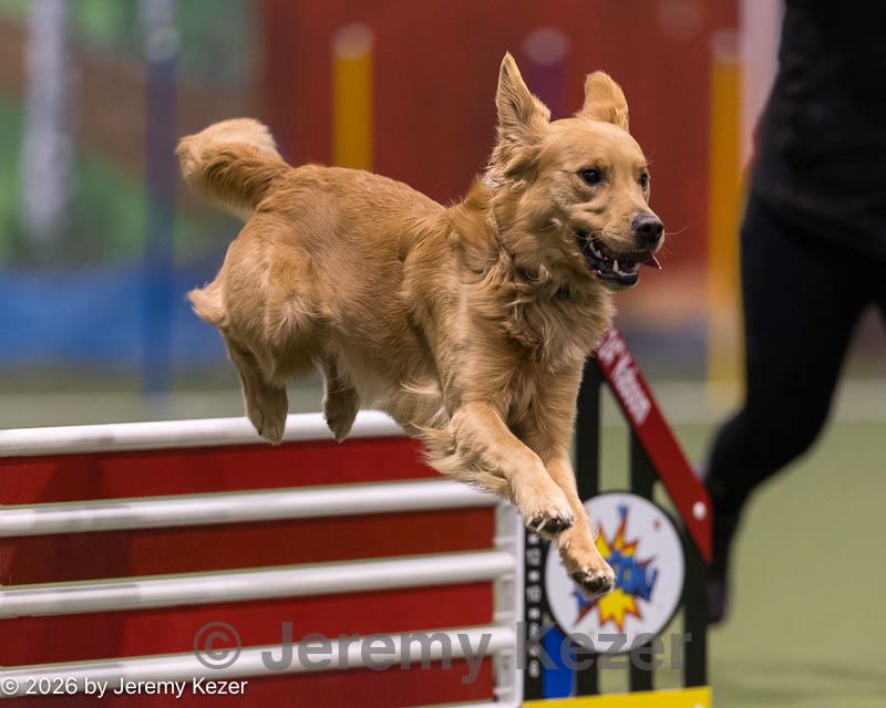 20260222-0011.jpg