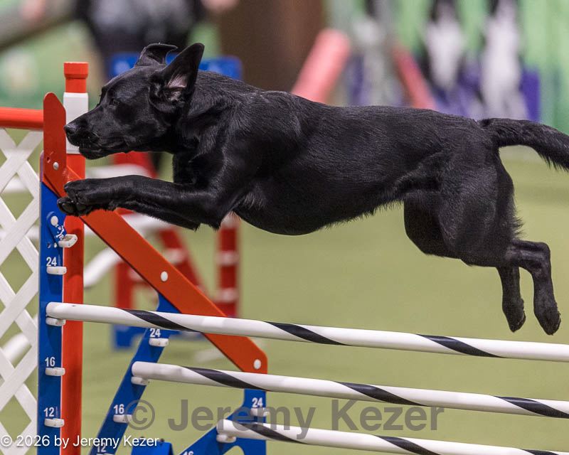 20260222-0014.jpg