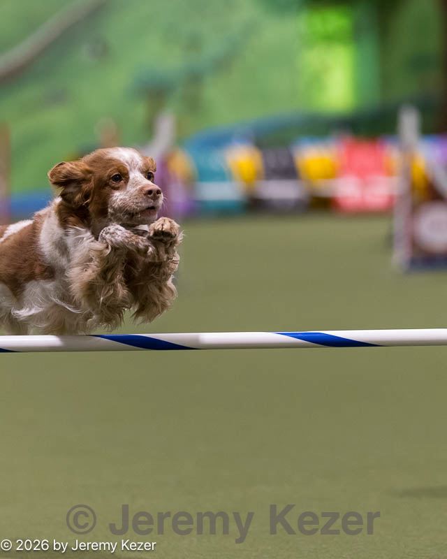 20260222-0019.jpg
