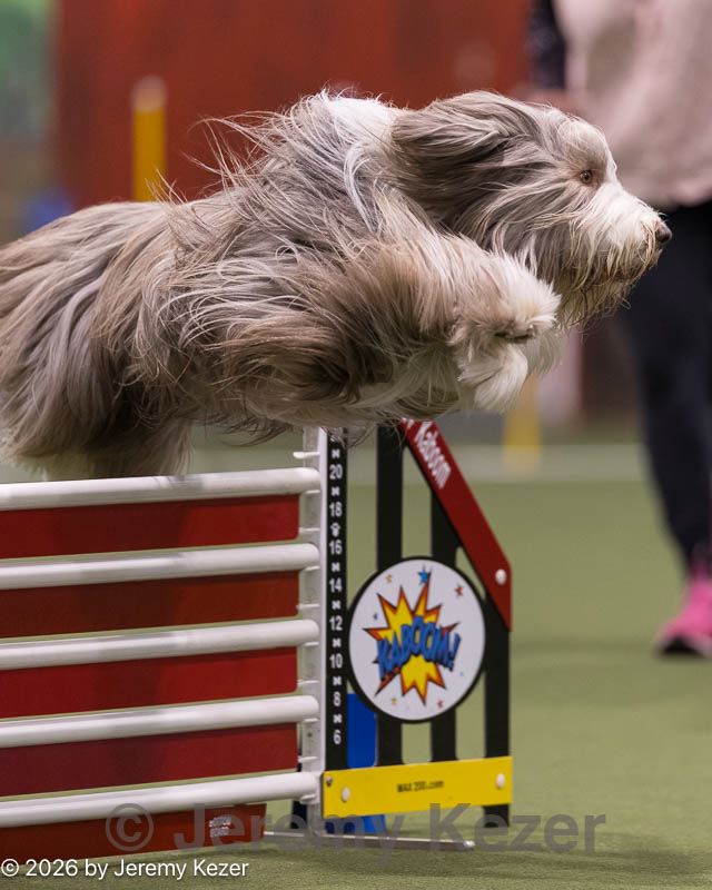 20260222-0028.jpg