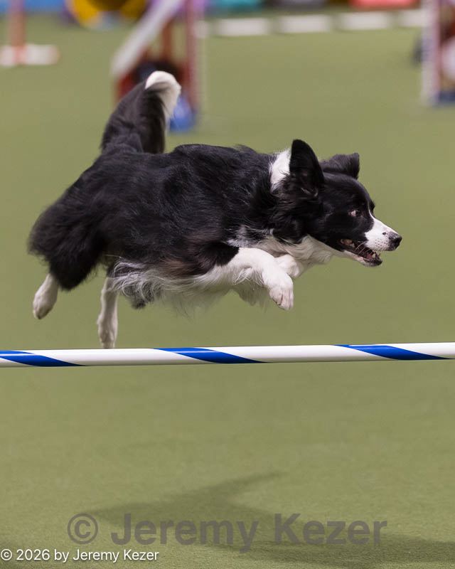 20260222-0032.jpg