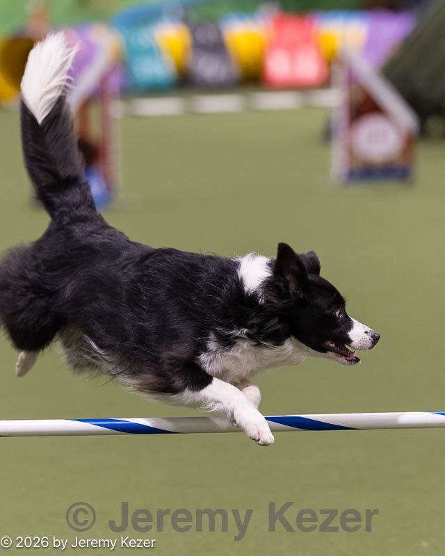 20260222-0033.jpg