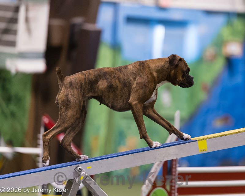 20260222-1011.jpg