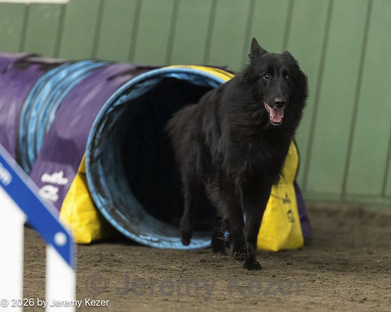 20260613-ccm-3031.jpg