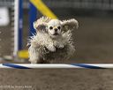 20260614-ccm-0495