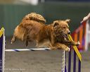 20260614-ccm-0359