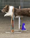 20260614-ccm-0049