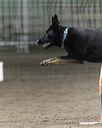 20260614-ccm-0075