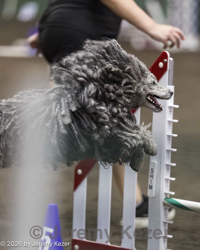 20260614-ccm-1311.jpg
