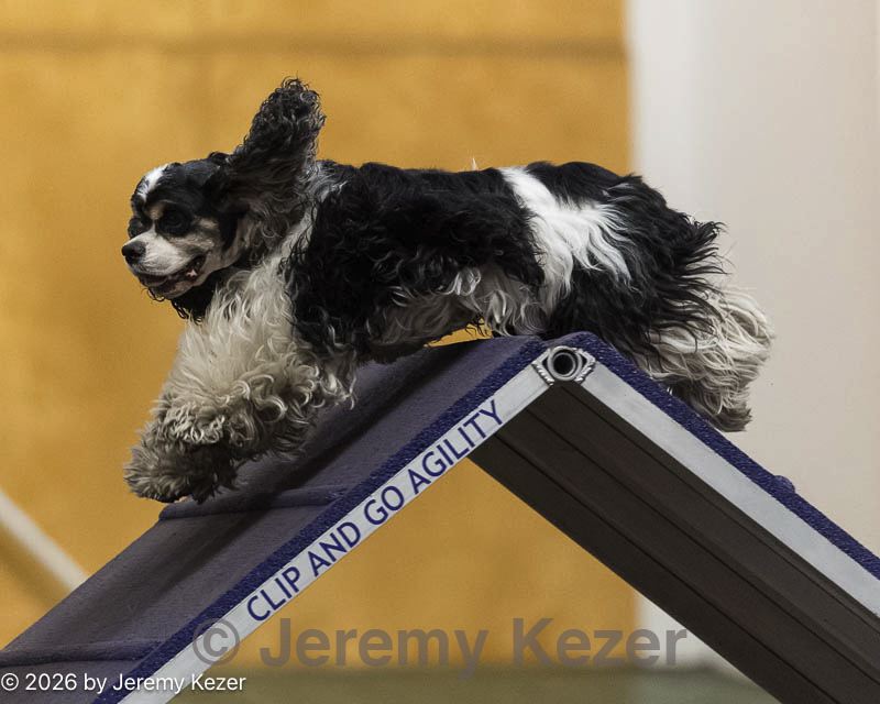 20260614-ccm-1059.jpg