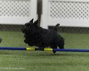 20260627-stcgny-1073