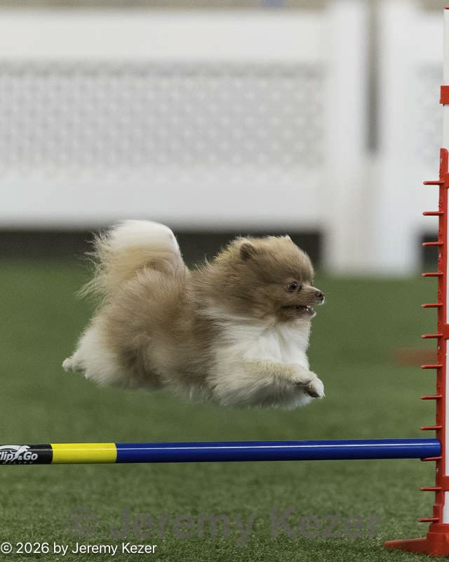 20260627-stcgny-1036.jpg
