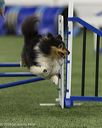 20260627-stcgny-0937