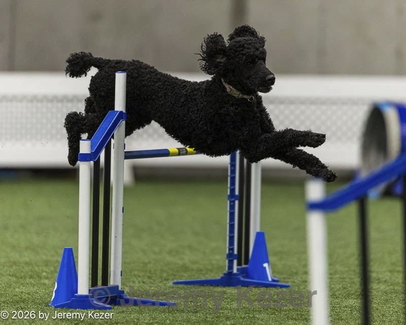 20260627-stcgny-0723.jpg