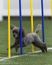 20260627-stcgny-0642